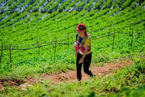 BIB: 
                            <button type="button" onclick="openModal(19164195)" class="btn btn-primary btn-sm float-right btn-popup" data-toggle="modal" data-target=".modal-high-quality">
                        <i class="fas fa-shopping-cart"></i> Add to Cart
                    </button>
                                            <button type="button" onclick="isThisMe(19164195, true)" class="btn btn-success btn-sm float-right btn-popup btn-isme hidden" data-toggle="tooltip" data-placement="bottom" title="นี่คือรูปของคุณใช่ไหม คลิกที่นี่เพื่อเอาเข้าอัลบั้ม">
                        <i class="fas fa-plus"></i> Add to album
                    </button>
                    <button type="button" onclick="isThisMe(19164195, false)" class="btn btn-warning btn-sm float-right btn-popup btn-isnotme hidden">
                        <i class="fas fa-ban"></i> Remove from album
                    </button>